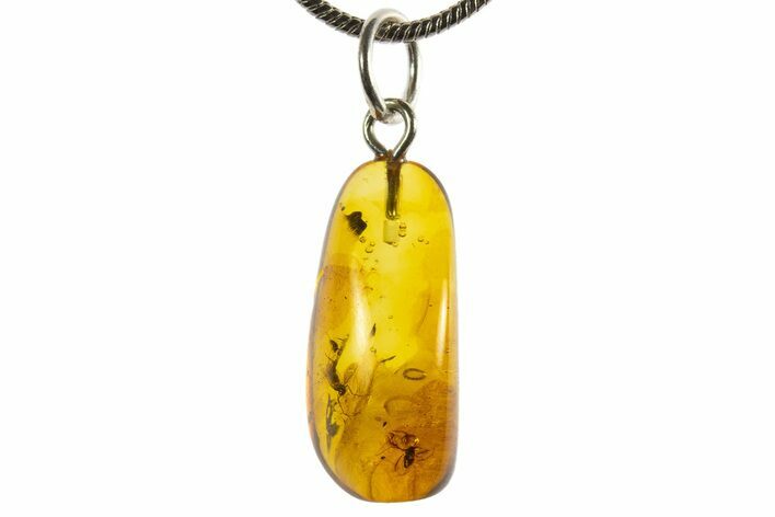 Polished Baltic Amber Pendant (Necklace) - Contains Flies! #339565